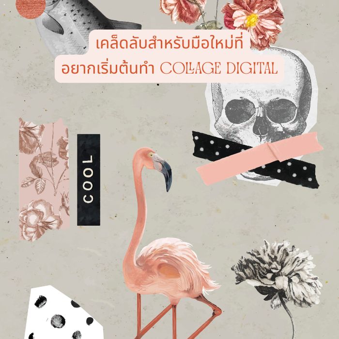 เคล็ดลับสำหรับมือใหม่ที่อยากเริ่มต้นทำ Collage Digital